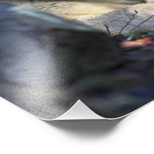 Mooie Wolf Foto Afdruk (Hoek)