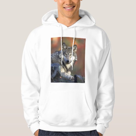 Mooie Wolf Hoodie (Voorkant)