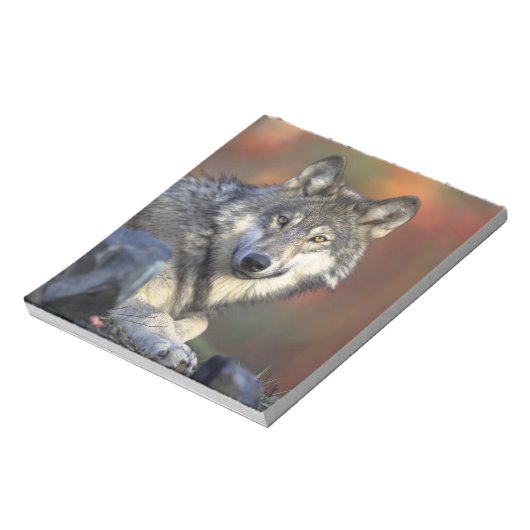 Mooie Wolf Notitieblok (Linkerzijde)