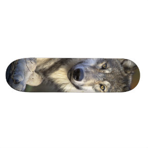 Mooie Wolf Skateboard