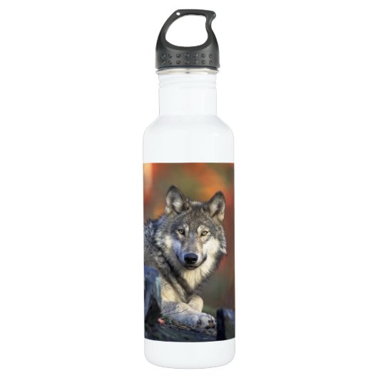 Mooie Wolf Waterfles (Voorkant)
