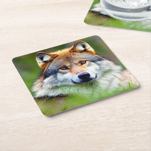 Mooie wolfkop schilderen kartonnen onderzetters (Schuin)