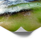 Mooie wolfkop schilderen poster (Hoek)