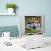 Mooie wolfkop schilderen sticker (Laptop op bureau)