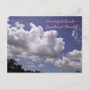 Mooie wolken SW Florida Briefkaart