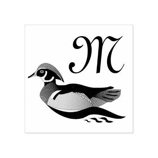 Mooie Wood Duck zwemmen Rubberstempel (Afrduk)