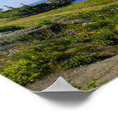 Mooie Yellowstone Lake Poster (Hoek)