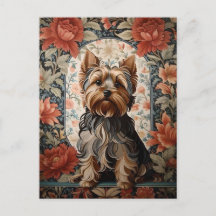 Mooie Yorkie | Yorkshire Terrier Portret
