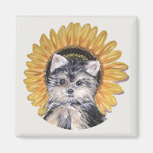 Mooie Yorkshire Terrier hond