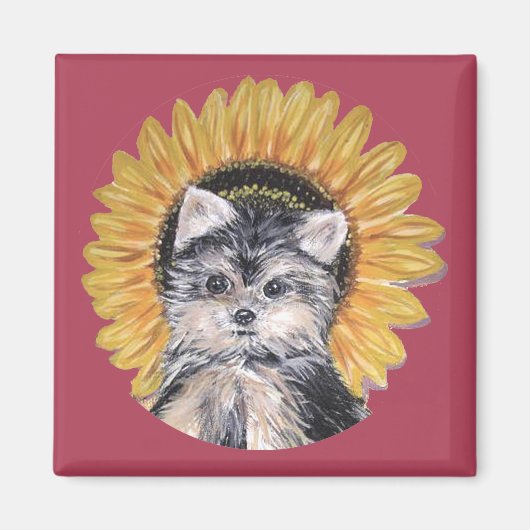 Mooie Yorkshire Terrier hond Magneet (Voorkant)