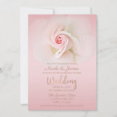 Mooie Zacht Roze Natte Roos Elegante bruiloft Kaart (Voorkant)