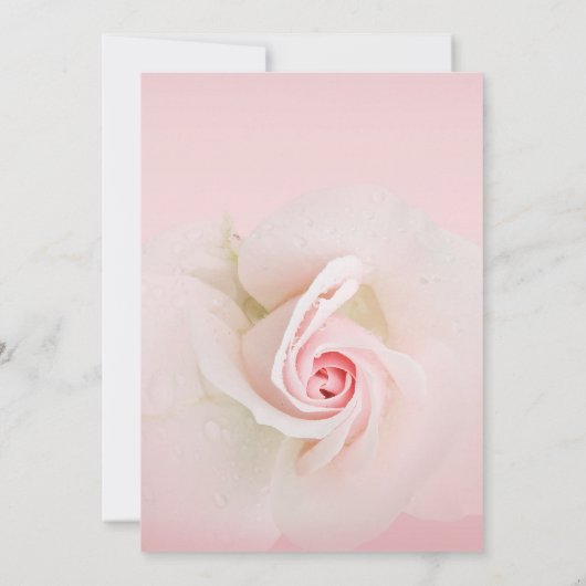 Mooie Zacht Roze Natte Roos Elegante bruiloft Kaart (Achterkant)