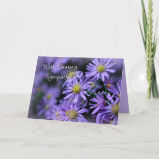 Mooie zachte Paarse Aster Bloemen Sympathie Kaart