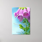 Mooie zachte Roos, aantrekkelijke ventilator Canvas Afdruk (Voorkant)