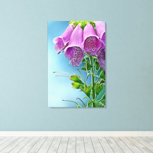 Mooie zachte Roos, aantrekkelijke ventilator Canvas Afdruk (Insitu (Houten vloer))