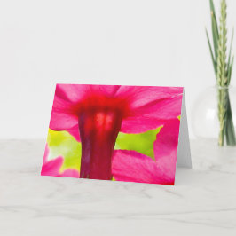 Mooie, zachte, roze bloemen Natuur Kaart