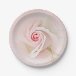 Mooie zachte roze natte roos elegante bruidsdouche papieren bordje