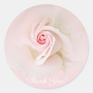 Mooie zachte roze roos Elegante bruidsdouche Ronde Sticker