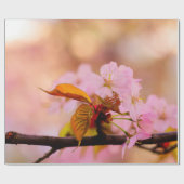 Mooie zachte roze Sakura-ventilator in Springtime Cadeaupapier (Vlak)