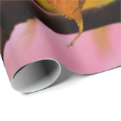 Mooie zachte roze Sakura-ventilator in Springtime Cadeaupapier (Rol Hoek)