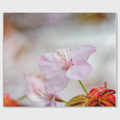 Mooie zachte roze Sakura-ventilator in Springtime Cadeaupapier (Vlak)