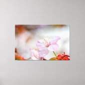 Mooie zachte roze Sakura-ventilator in Springtime Canvas Afdruk (Voorkant)