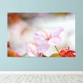 Mooie zachte roze Sakura-ventilator in Springtime Canvas Afdruk (Insitu (Houten vloer))