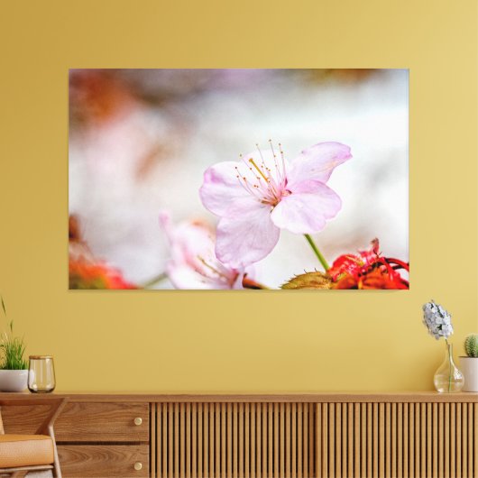 Mooie zachte roze Sakura-ventilator in Springtime Canvas Afdruk (Insitu (Woonkamer))