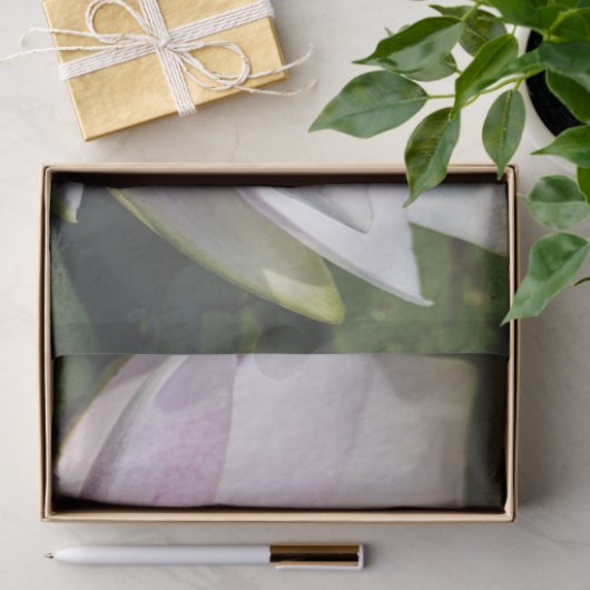 Mooie, zachte roze waterLily Tissuepapier (Geschenk)