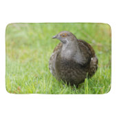 Mooie zalige Grouse in de gras Badmat (Voorkant)