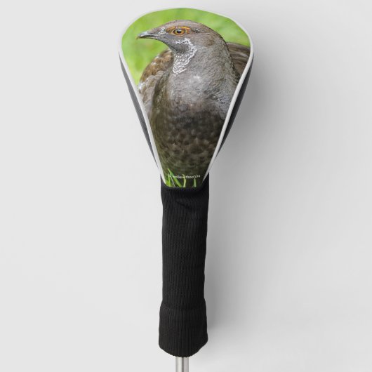 Mooie zalige Grouse in de gras Golfheadcover (Voorkant)