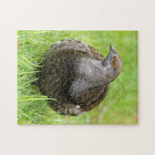 Mooie zalige Grouse in de gras Legpuzzel (Horizontaal)