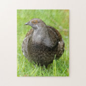 Mooie zalige Grouse in de gras Legpuzzel (Verticaal)
