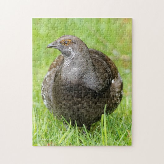 Mooie zalige Grouse in de gras Legpuzzel (Verticaal)