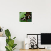 Mooie Zebra Langwingvlinder Print (Thuiskantoor)