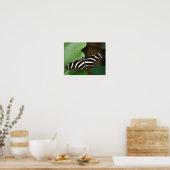 Mooie Zebra Langwingvlinder Print (Keuken)