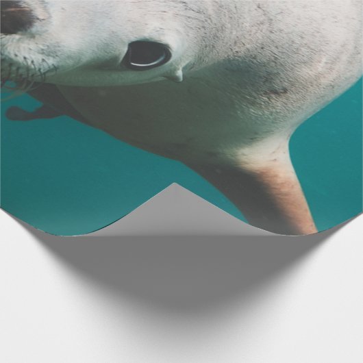 Mooie Zee Lion Cadeaupapier (Hoek)