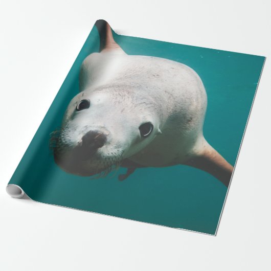 Mooie Zee Lion Cadeaupapier (Uitgerold)