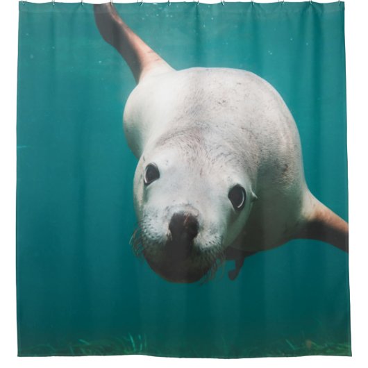Mooie Zee Lion Douchegordijn (Voorkant)