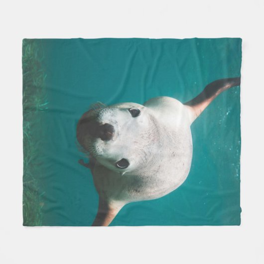 Mooie Zee Lion Fleece Deken (Voorkant (Horizontaal))