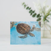 Mooie zeeen schildpad briefkaart (Staand voorkant)