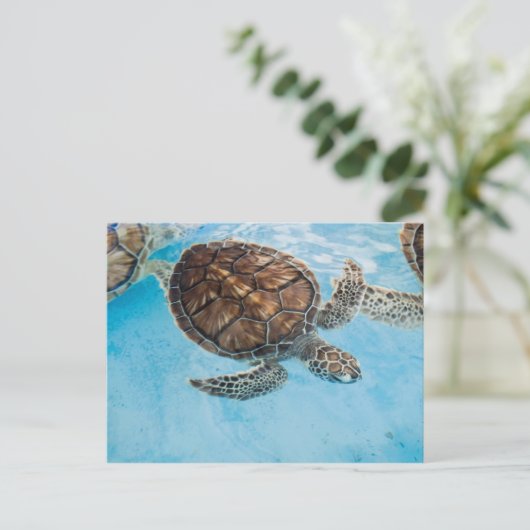 Mooie zeeen schildpad briefkaart (Staand voorkant)