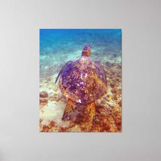 Mooie zeeen schildpadden canvas afdruk (Voorkant)