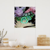 Mooie Zeeen sterren en groene annemonen foto Poster (Keuken)