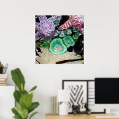 Mooie Zeeen sterren en groene annemonen foto Poster (Thuiskantoor)
