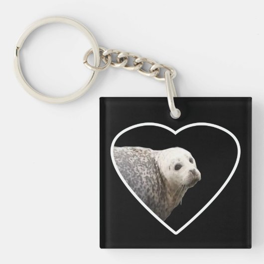 Mooie zeehond rustend zeezoogdier strand scène oce sleutelhanger (Voorkant)