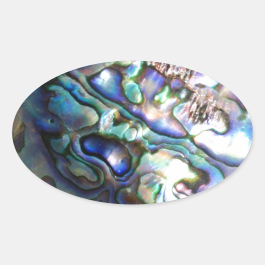 Mooie zeeoorschelp ovale sticker (Voorkant)