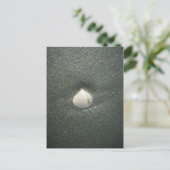 Mooie zeeschelp in het zand: een zout souvenir briefkaart (Staand voorkant)