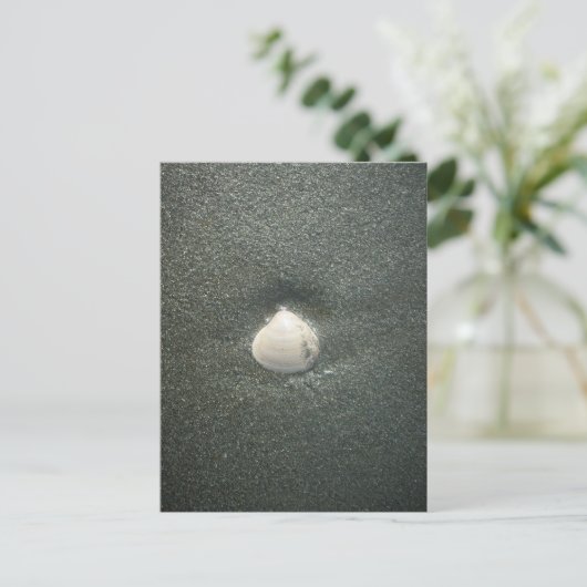 Mooie zeeschelp in het zand: een zout souvenir briefkaart (Staand voorkant)