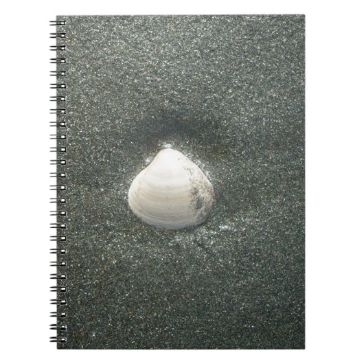 Mooie zeeschelp in het zand: een zout souvenir notitieboek (Voorkant)